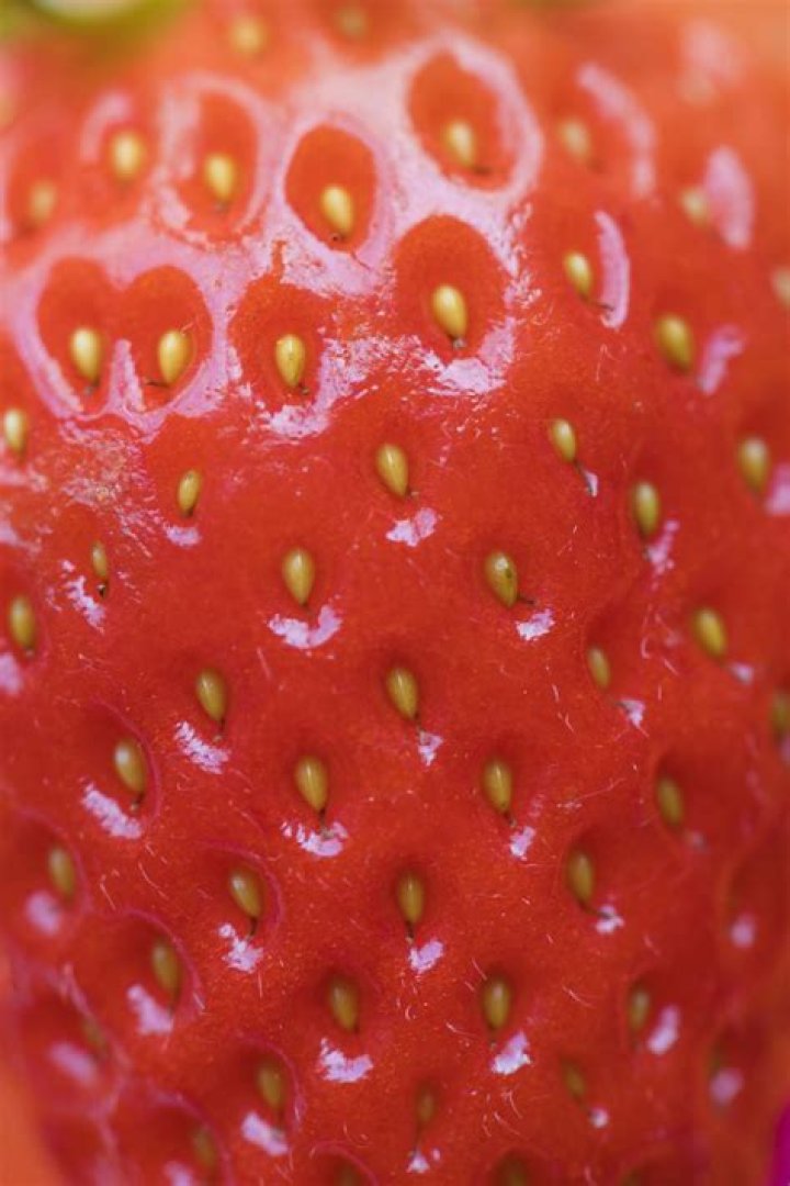A close up of Strawberry Sangria.