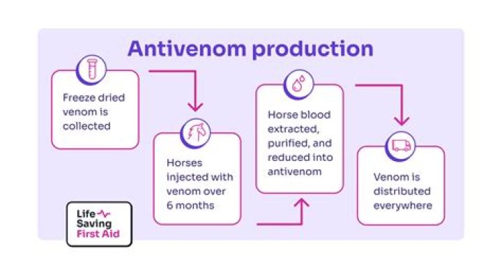 Anti Venom Anti-Venom