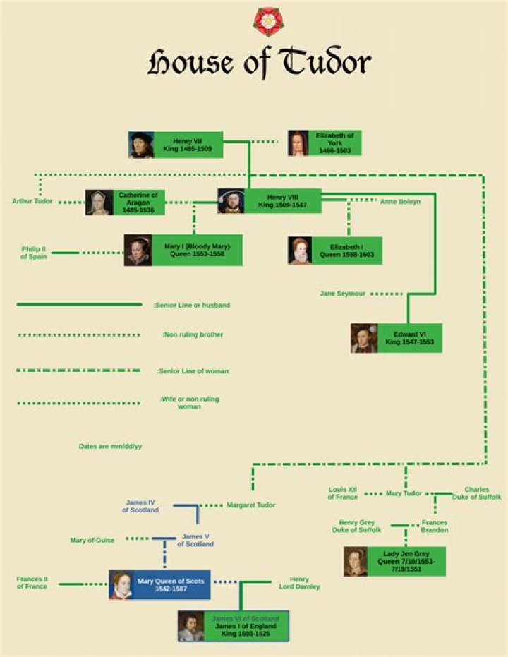 Career, The Tudors, Wife & Net Worth