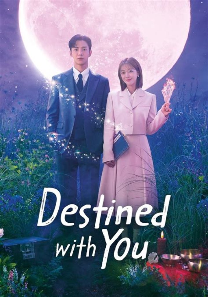 Destined With You