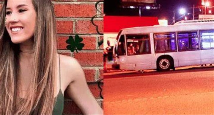 Polly Rogers Bus Accident Video Viral: What Happened To Her?