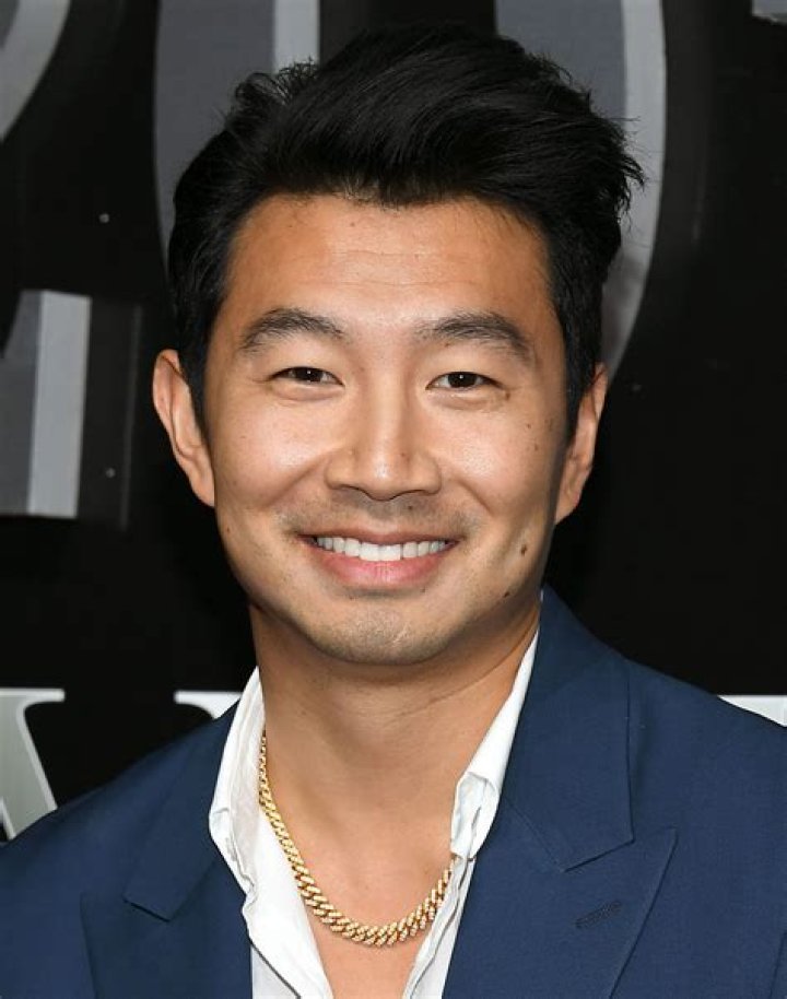 Simu Liu Actor and Stunman Simu Liu Actor and Stunman