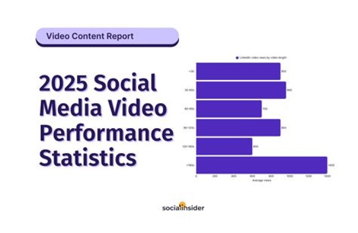 Thechrisbarnett video statistics